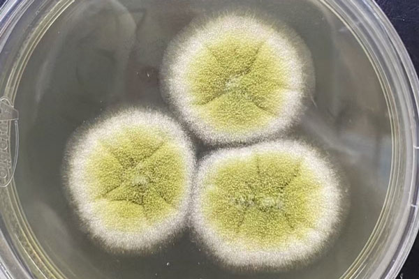 注意！這種致癌物可能正藏在家里！很多人天天接觸卻不知道！